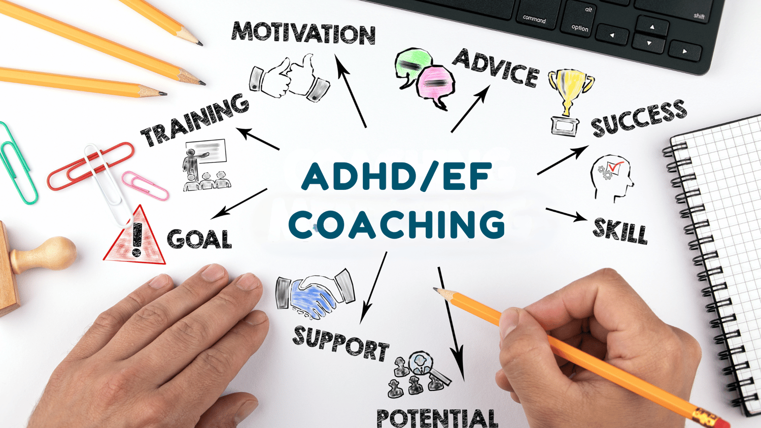 ADHD & Executive Function Coaching - Bass Educational Services